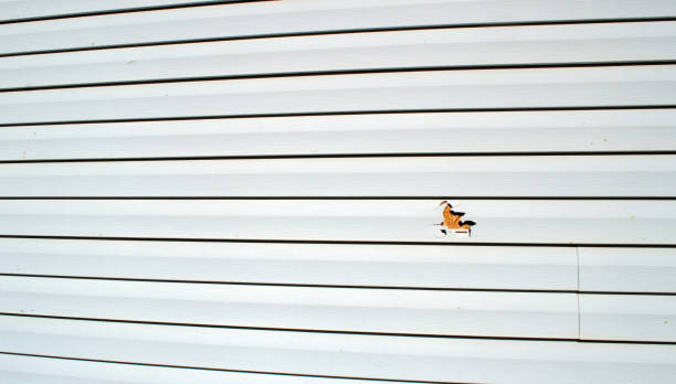 Best Stucco Siding  in Moreauville, LA