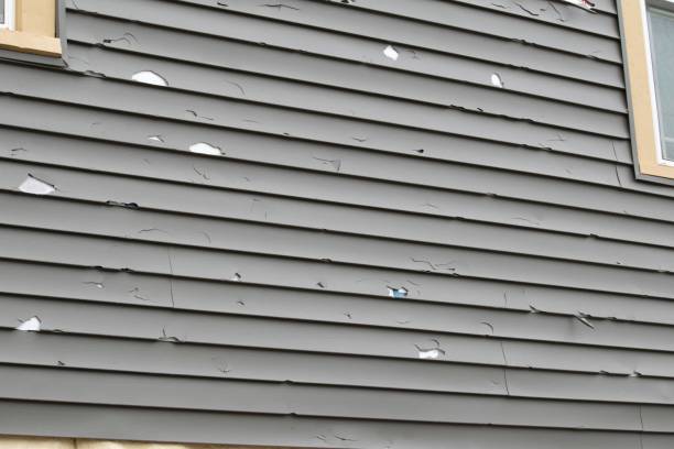 Best Composite Siding  in Moreauville, LA
