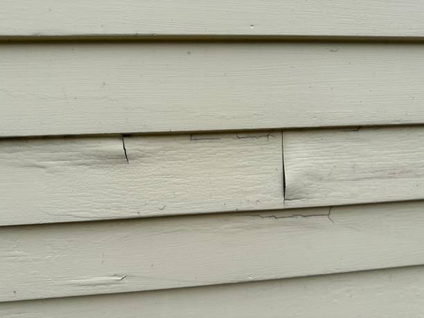 Best Weatherproofing and Sealing  in Moreauville, LA